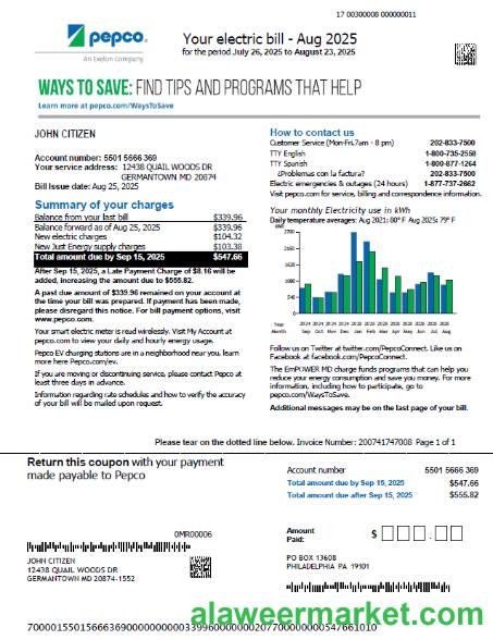 USA Pepco utility bill template in Word and PDF formats, version 2